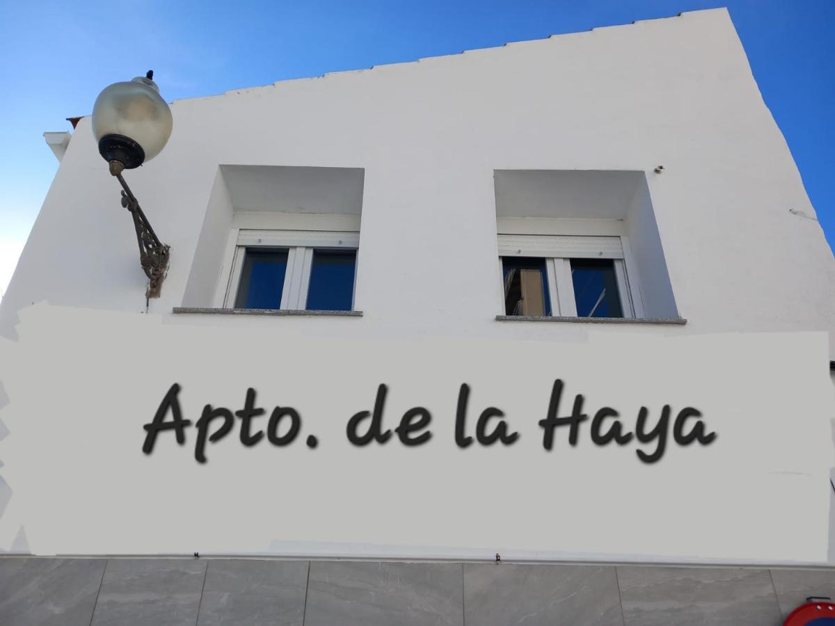 メリダApartamento De La Haya, Junto Al Teatro Romanoアパートメント エクステリア 写真